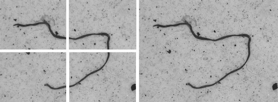 自動清潔度分析系統（顆粒大小分析設備）