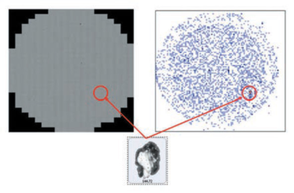自動清潔度分析系統（顆粒大小分析設備）